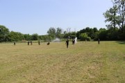 IMG_2597_800x533