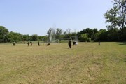 IMG_2598_800x533