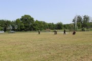 IMG_2600_800x533