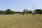 IMG_2602_800x533