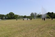 IMG_2603_800x533