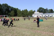 IMG_2611_800x533