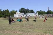 IMG_2613_800x533