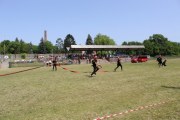 IMG_2614_800x533