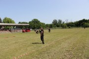 IMG_2615_800x533