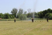 IMG_2628_800x533